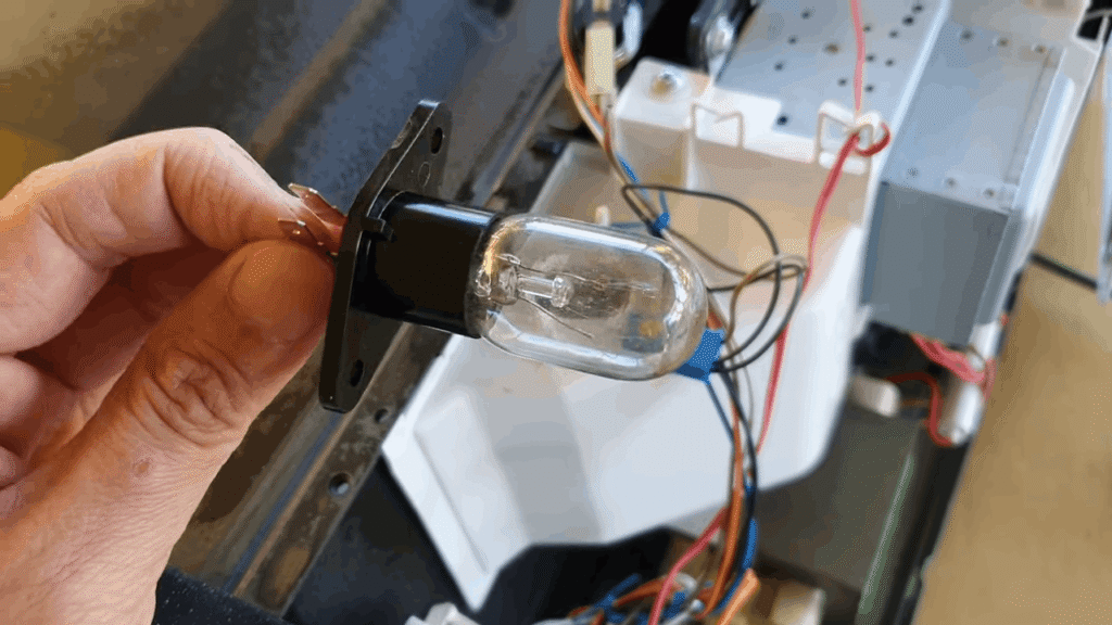 microwave oven burnt bulb