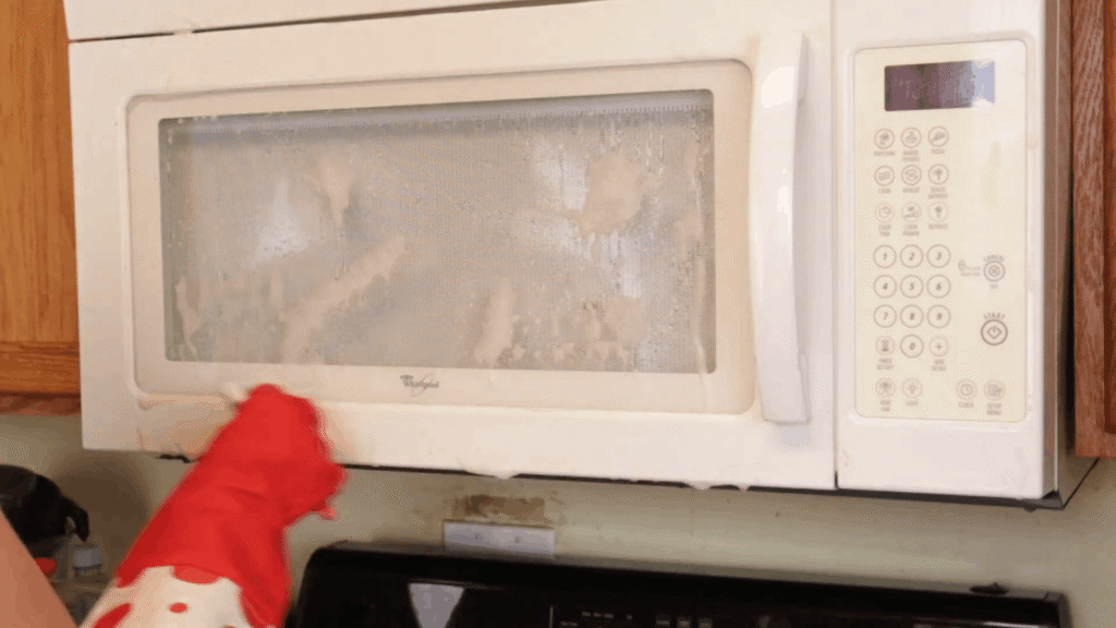 microwave oven cleaning