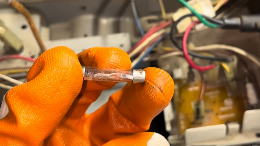 microwave oven fuse